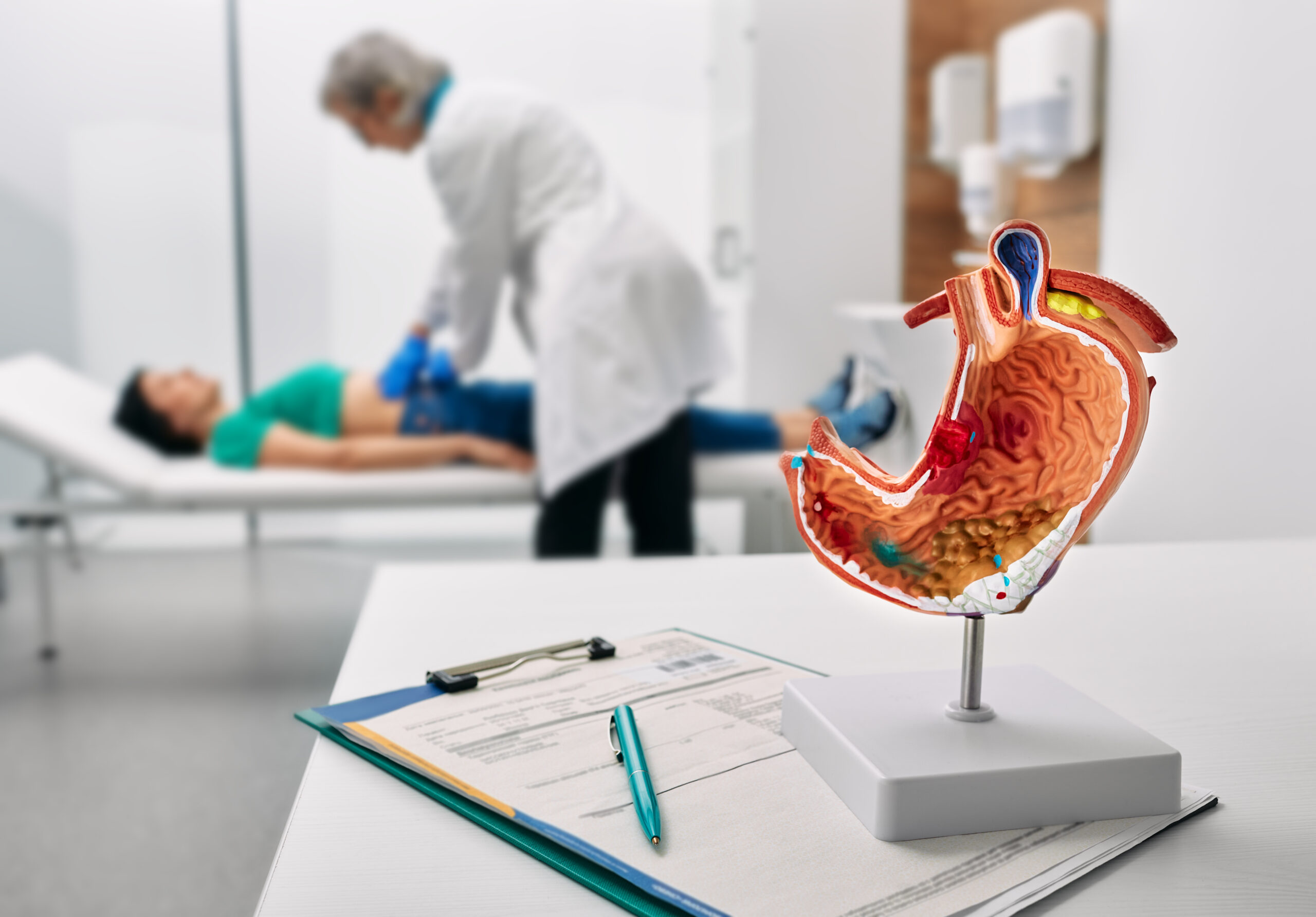 Photo of model human stomach while a female doctor checks on patient in background